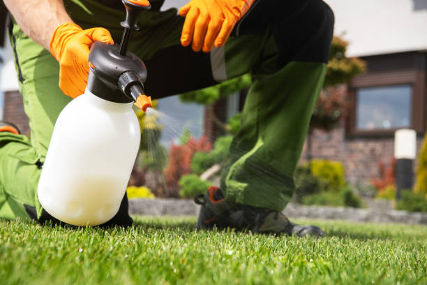 Best Residential Pest Control  in Elsmere, DE