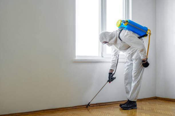 Best Flea Control Services  in Elsmere, DE