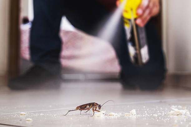 Best Best Pest Control Companies  in Elsmere, DE